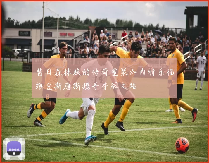 昔日森林狼的传奇重聚加内特乐福维金斯唐斯携手夺冠之路