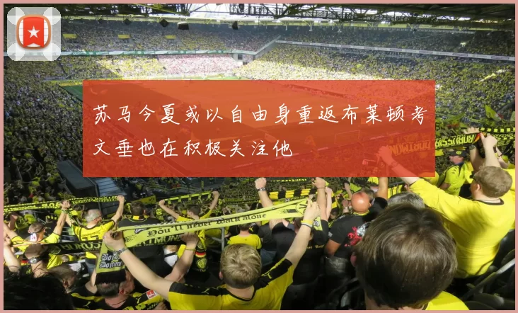 苏马今夏或以自由身重返布莱顿考文垂也在积极关注他