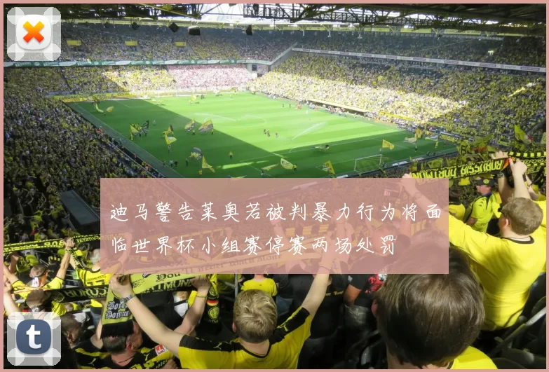 迪马警告莱奥若被判暴力行为将面临世界杯小组赛停赛两场处罚